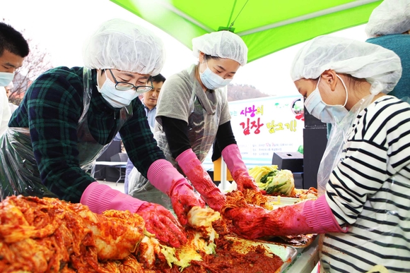 성균관대 삼성창원병원, ‘사랑의 김장 담그기’…1500포기 이웃 전달
