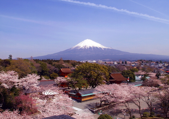 '이른 꽃놀이'로 일본행 여행객 크게 늘어