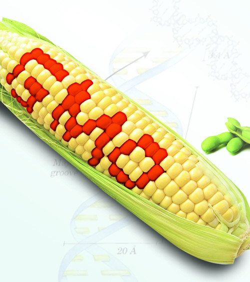 [문재인 대통령] “GMO 표기 강화하겠다”… GMO완전표시제 도입 기대감