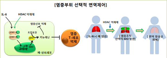 서수길 교수팀, 염증부위 선택적 면역억제기법 개발