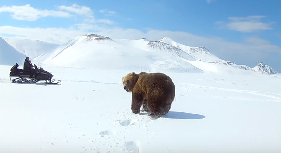 [쿠키영상] 스노모빌로 곰을 쫓는 사람들, ‘무용담’ 전하려다 호되게 욕먹다