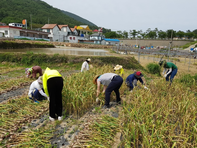남해군, 농번기 ‘농촌일손돕기’ 추진센터 운영