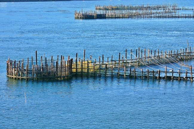 남해군, ‘죽방렴 어업’ 보존·관광산업 연계 ‘고심’