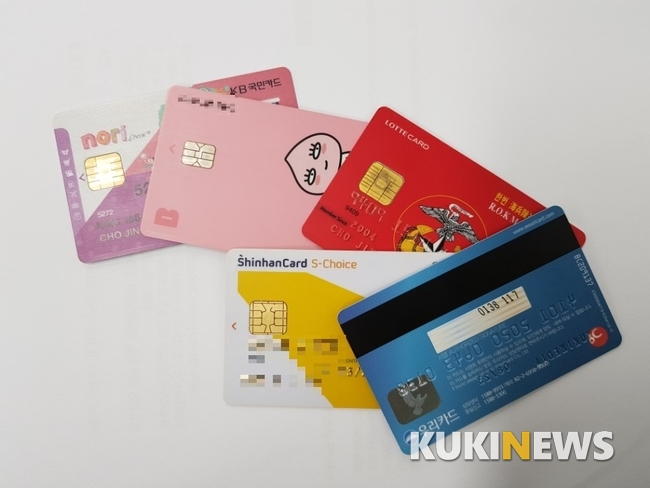 [2018 국감] 고금리 이자장사 마케팅 등 카드업계 부당행위 도마위