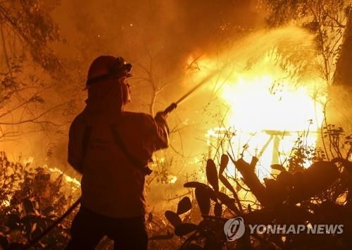 美 캘리포니아 산불, 사망자 63명·실종자 631명으로 증가