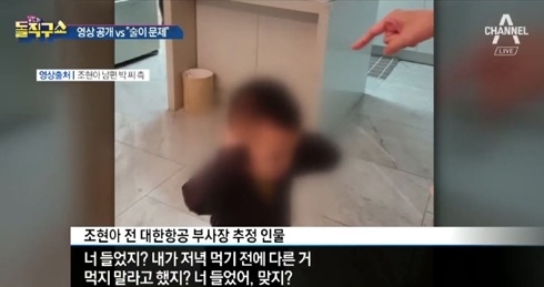 ‘조현아 동영상’ 본 누리꾼 반응 “아이가 무슨 죄”