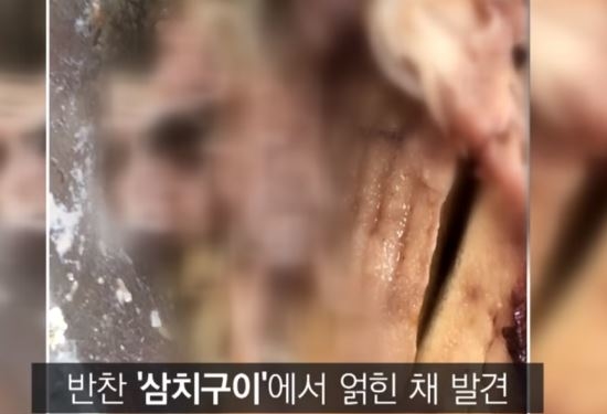 인천 고교 급식서 ‘고래회충’ 나와…생선 내장에 기생