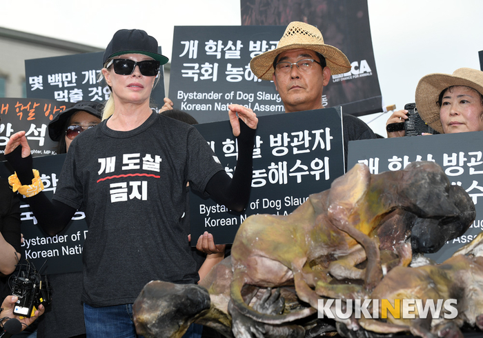 동물 임의도살 금지법 통과 촉구하는 킴 베이싱어