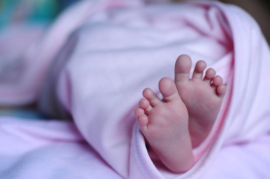 저출산·인구 고령화에… 성인용 분유로 활로 찾는 유업계