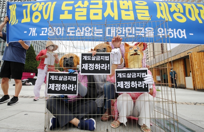 “개 식용 없는 대한민국” 시민단체, ‘중복’ 맞아 도살 금지법 촉구