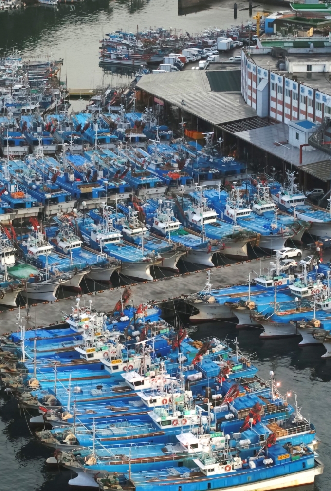 태풍 피해 서귀포항에 정박한 어선들