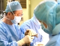연세사랑병원, 차세대 개인맞춤 3D인공관절 수술 1만500례 돌파 