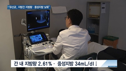 [쿠키건강뉴스] “유산균 섭취, 지방간 지방량·중성지방 낮춰”