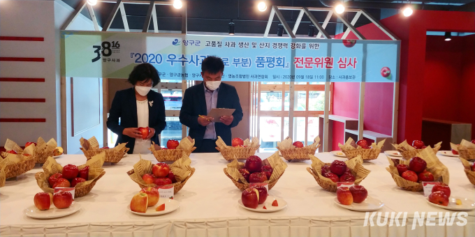 양구군, 비대면 방식 2020 사과품평회 개최