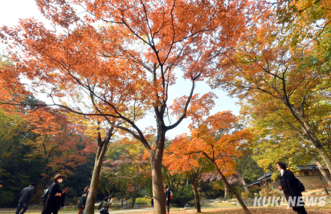 '창덕궁 후원'에서 즐기는 가을풍경