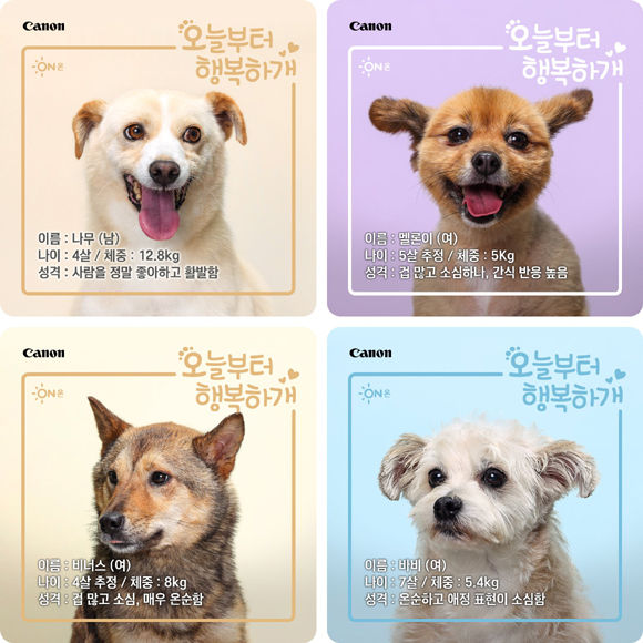 캐논, 반려동물 입양 프로젝트 ‘#오늘부터 행복하개’ 캠페인 실시