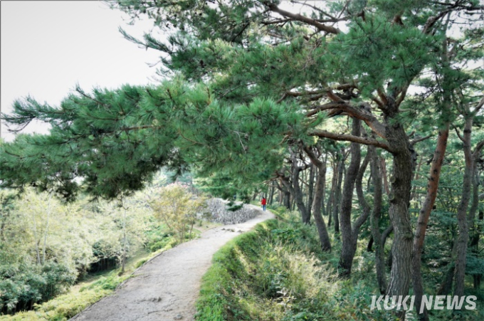 [고창에서 석 달 살기] 고창읍성이 품은 아름다운 솔숲과 대숲