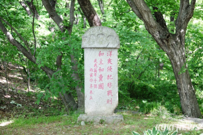 [고창에서 석 달 살기] 고창읍성이 품은 아름다운 솔숲과 대숲