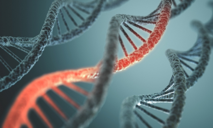 암 유발 변이 유전자,“RNA패널”로 더 많이 찾아낸다
