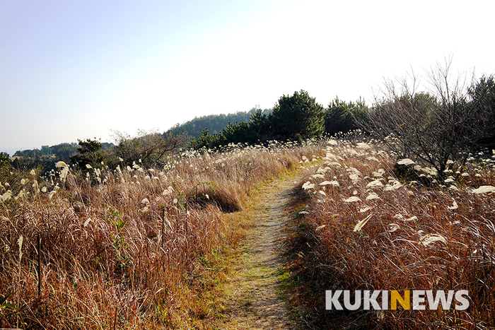 제주도에서 1년…제주 남쪽 중산간 마을 풍경