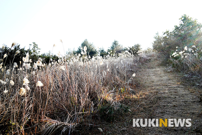 제주도에서 1년…제주 남쪽 중산간 마을 풍경