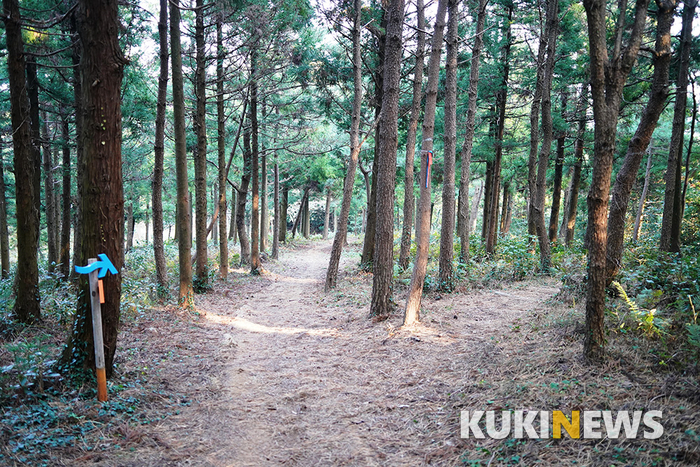 제주도에서 1년…제주 남쪽 중산간 마을 풍경