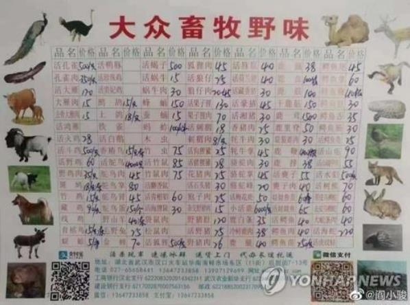 中 푸젠성, ‘코로나19’ 확산으로 야생동물 식용 법으로 금지