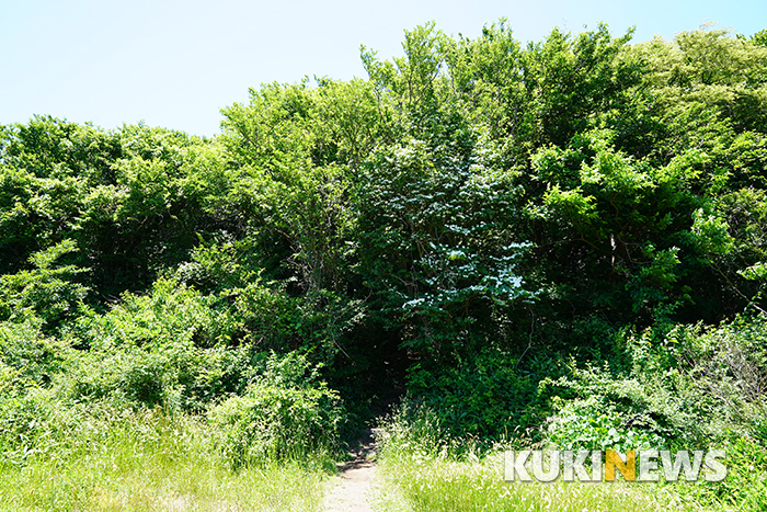 제주도에서 1년…큰바리메오름