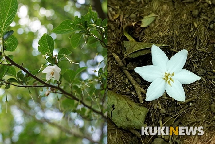 제주도에서 1년…큰바리메오름