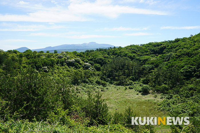 제주도에서 1년…큰바리메오름