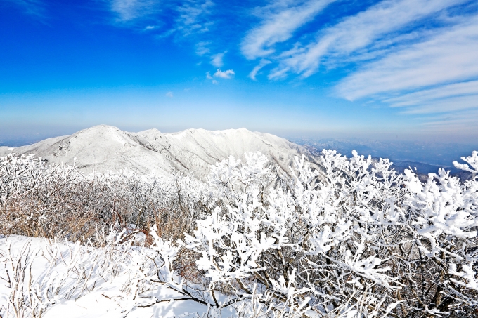 경북도, 겨울랜선여행 특별이벤트 실시