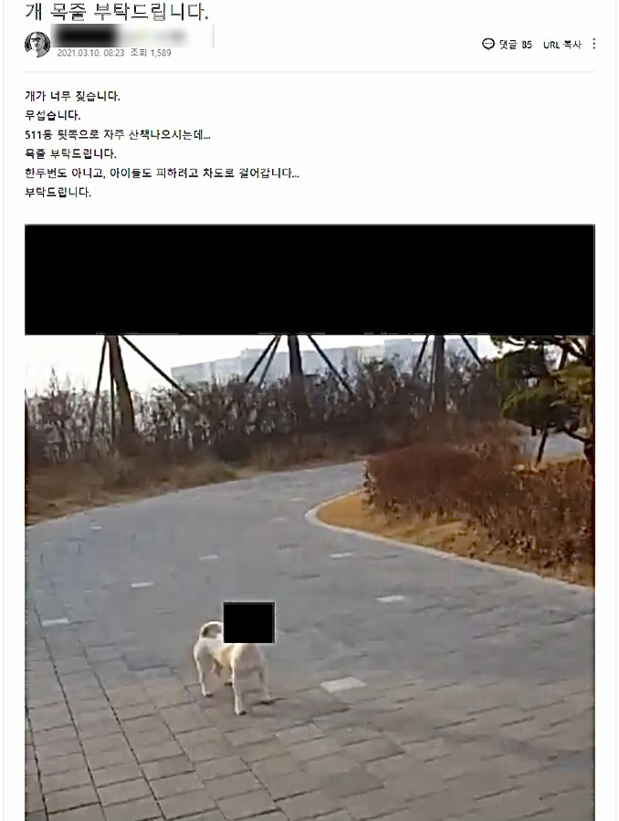 개 목줄 부탁에 적반하장…‘펫티켓’ 여전히 제자리걸음