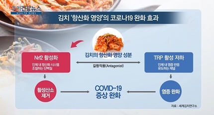 [쿠키건강뉴스] “김치, 코로나19 증상 완화 효과 가져”
