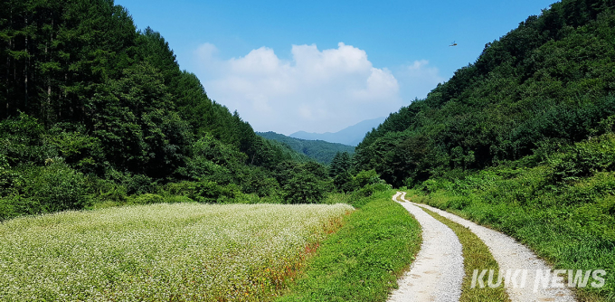 상쾌한 일상 되찾자…원주 '천리 굽이길' 개통