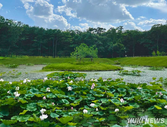 조선 최대 왕릉 동구릉, 조류서식도 도심 최대