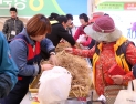 [연속기획] 강원홍천 인삼·한우 명품축제…④온라인 판매행사 전환