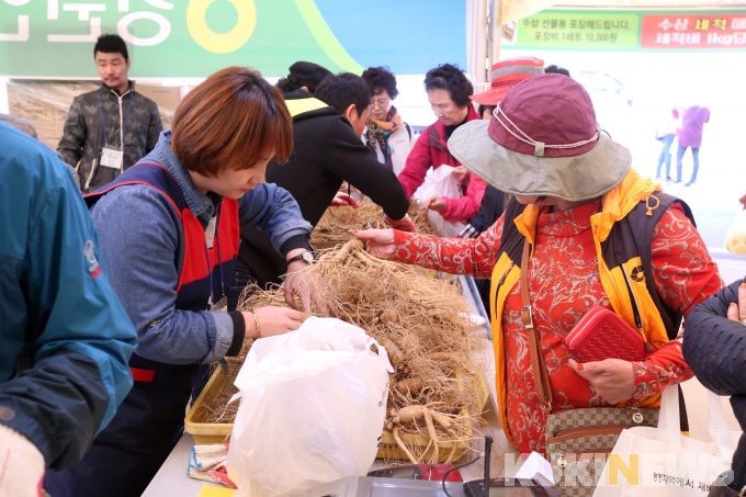 [연속기획] 강원홍천 인삼·한우 명품축제…④온라인 판매행사 전환