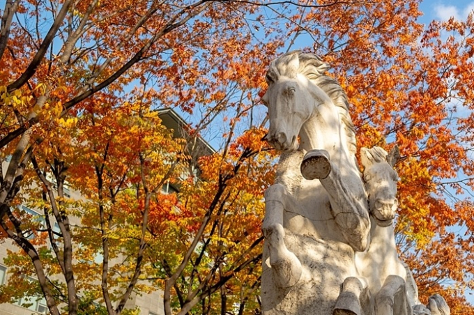 숭실대 글로벌미래교육원 시각디자인학 과정, 비실기전형 신입생 모집 