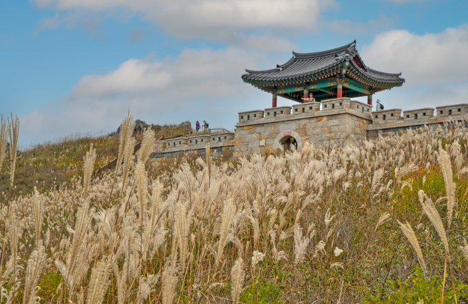 [포토뉴스] 가을 진객 산청 황매산 억새 장관