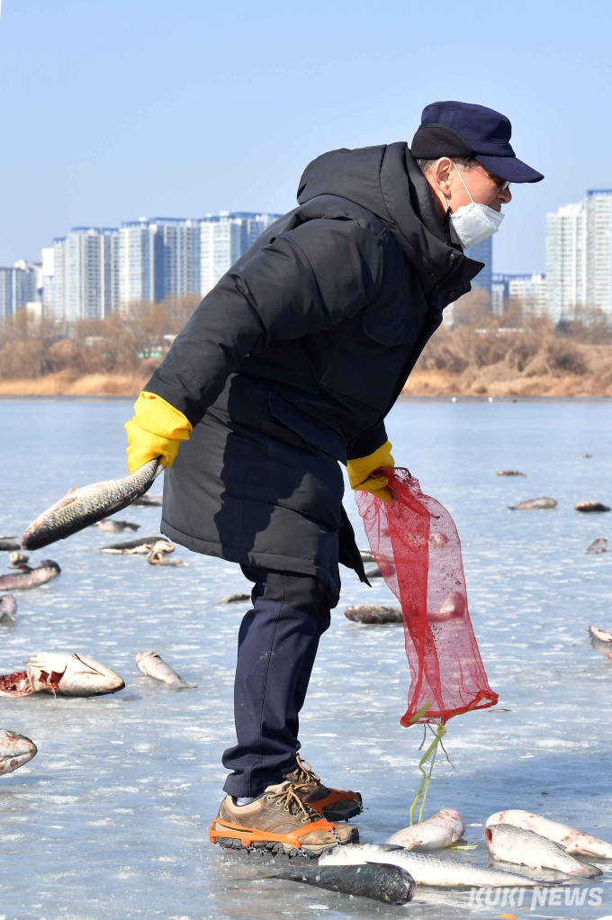  “친구들아, 배불리 먹고 건강해라” 참수리 먹이주기