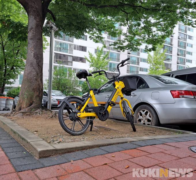 대전시 공유 자전거 '타슈'  전기 자전거 벽 넘나