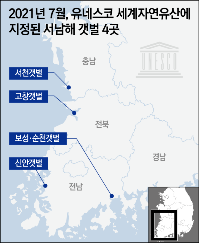 [생태탐방] 세계자연유산 ‘서남해갯벌을 찾아’   