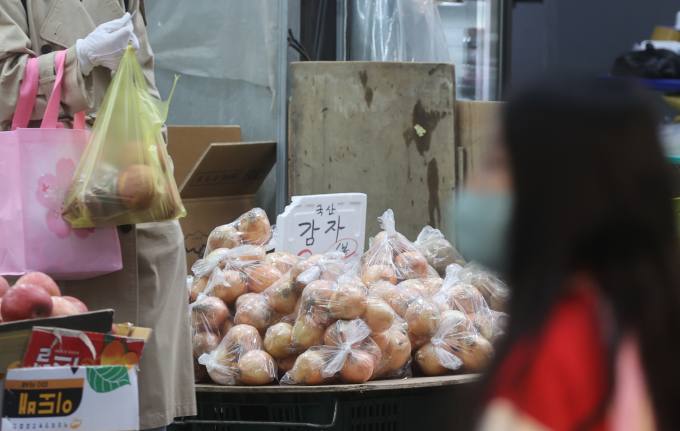 감자 가격 또 뛴다…평년 대비 최대 36%↑ 