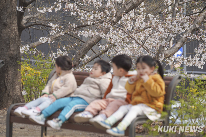 벚꽃 터널에서 즐기는 산책 [쿠키포토]