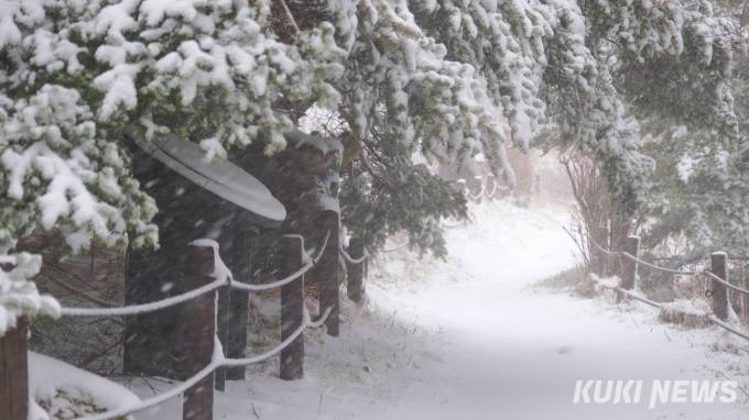 눈 덮인 11월의 지리산국립공원 [포토뉴스]