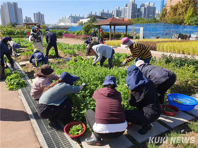 인천시, 상반기 도시농업 기초·전문가 양성 교육생 모집