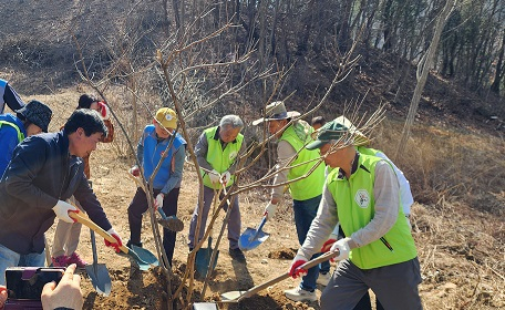 한국꿀벌생태환경보호협회, 500여 주 밀원수 심기로 꿀벌 보호