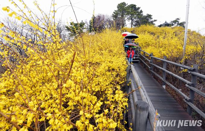   송파구, ‘아름다운 봄, 벚꽃이야기 호수벚꽃축제’ 개막