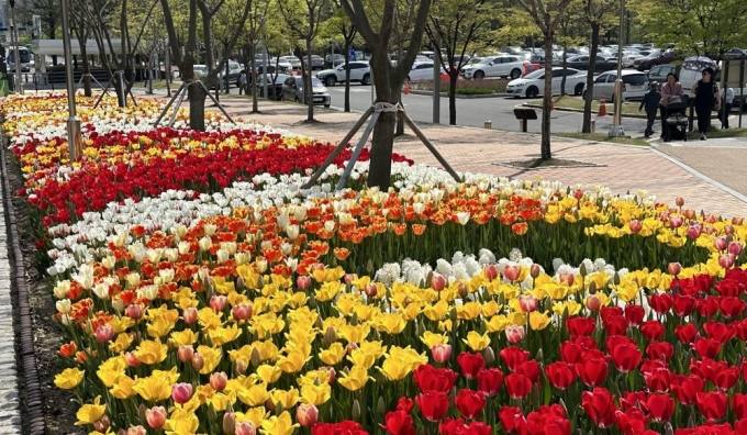 [포토] 대전 한밭수목원 4월 봄 꽃 '활짝'