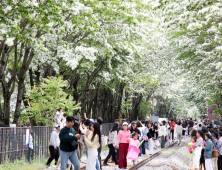 전주 팔복동 철길, 5월 12일까지 주말·공휴일 한시적 개방